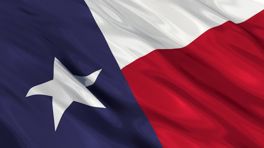Toth for Texas Flag